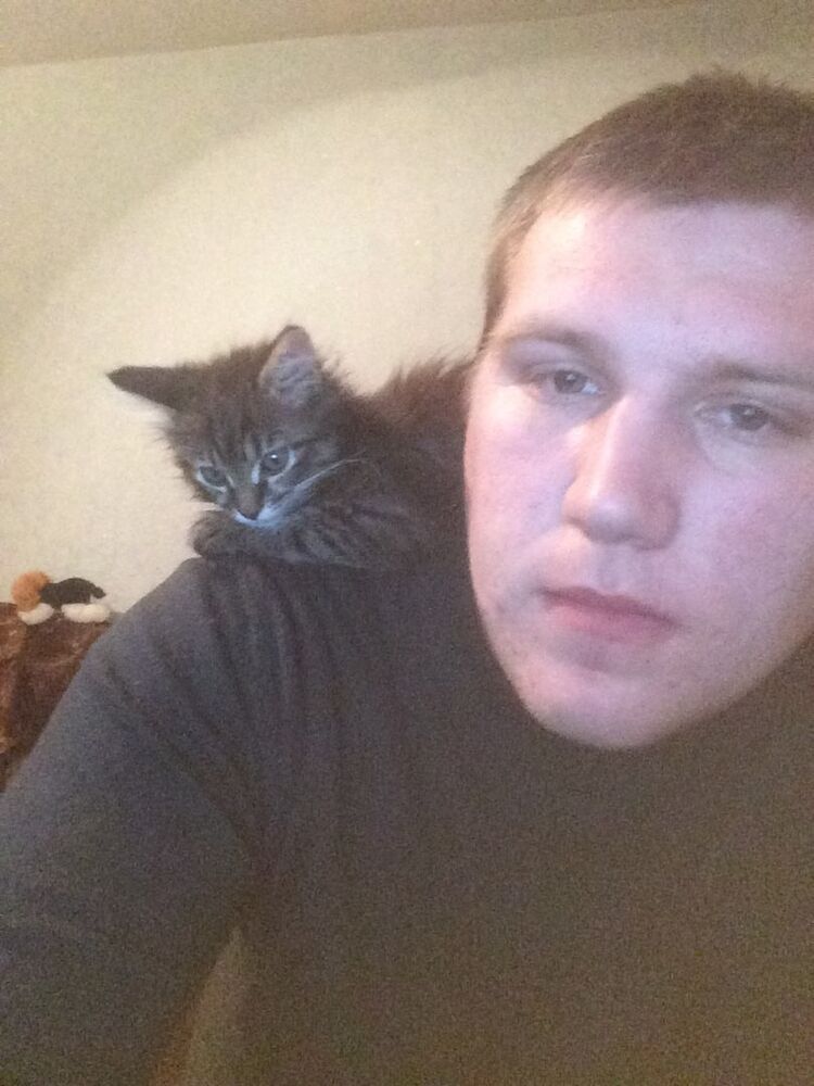 ���������� ���������, ���� ������� ��������, 34 ����, ������������ ��� ������, ����� � ���������, c�������� ���������