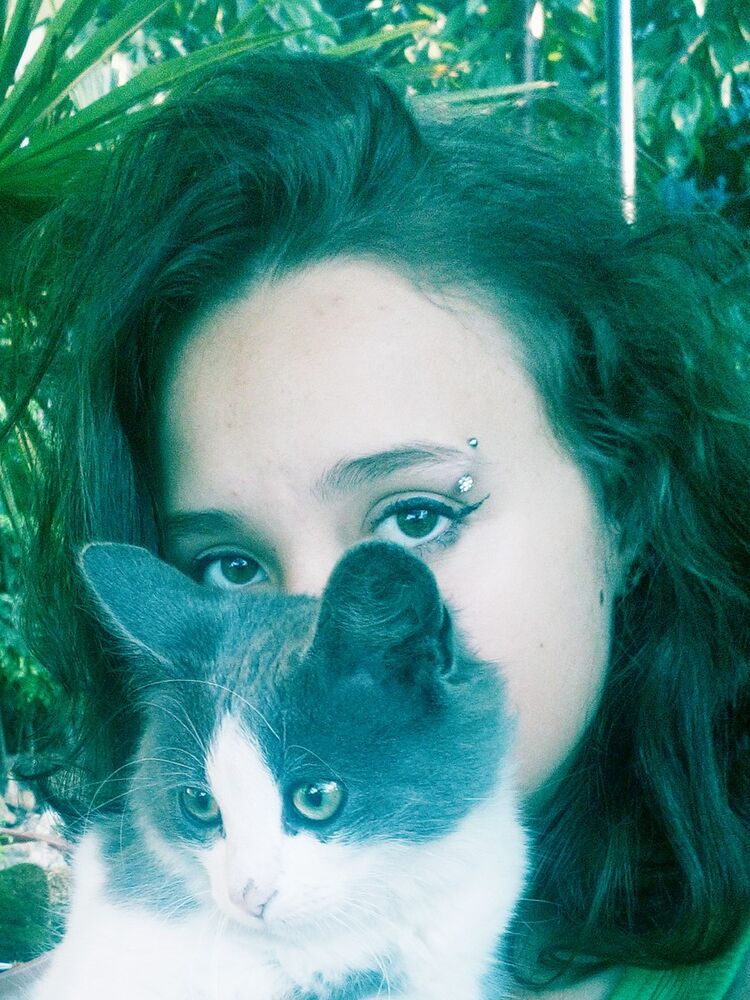  ,   , 29 ,     , c 