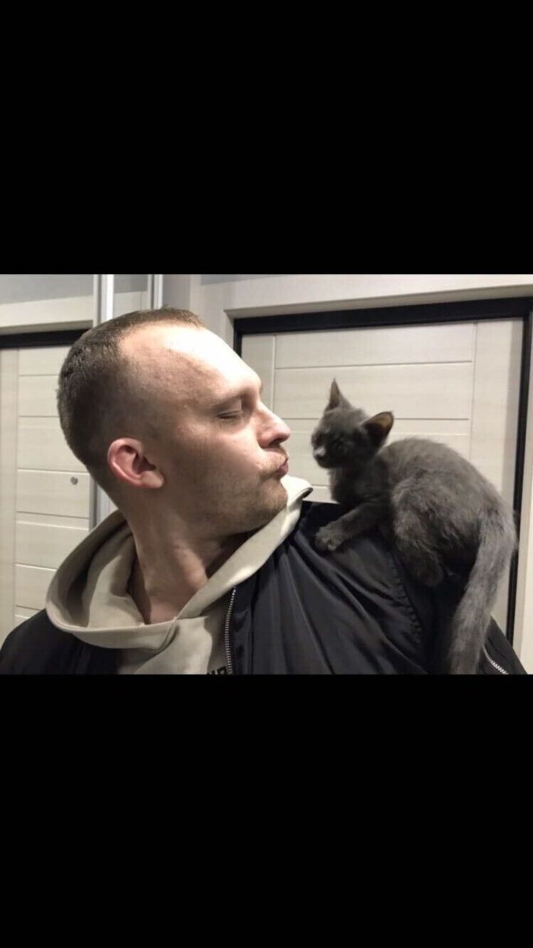 ���������� �����, ���� ������� ����, 32 ����, ������������ ��� ������, ����� � ���������, c�������� ���������, ���������