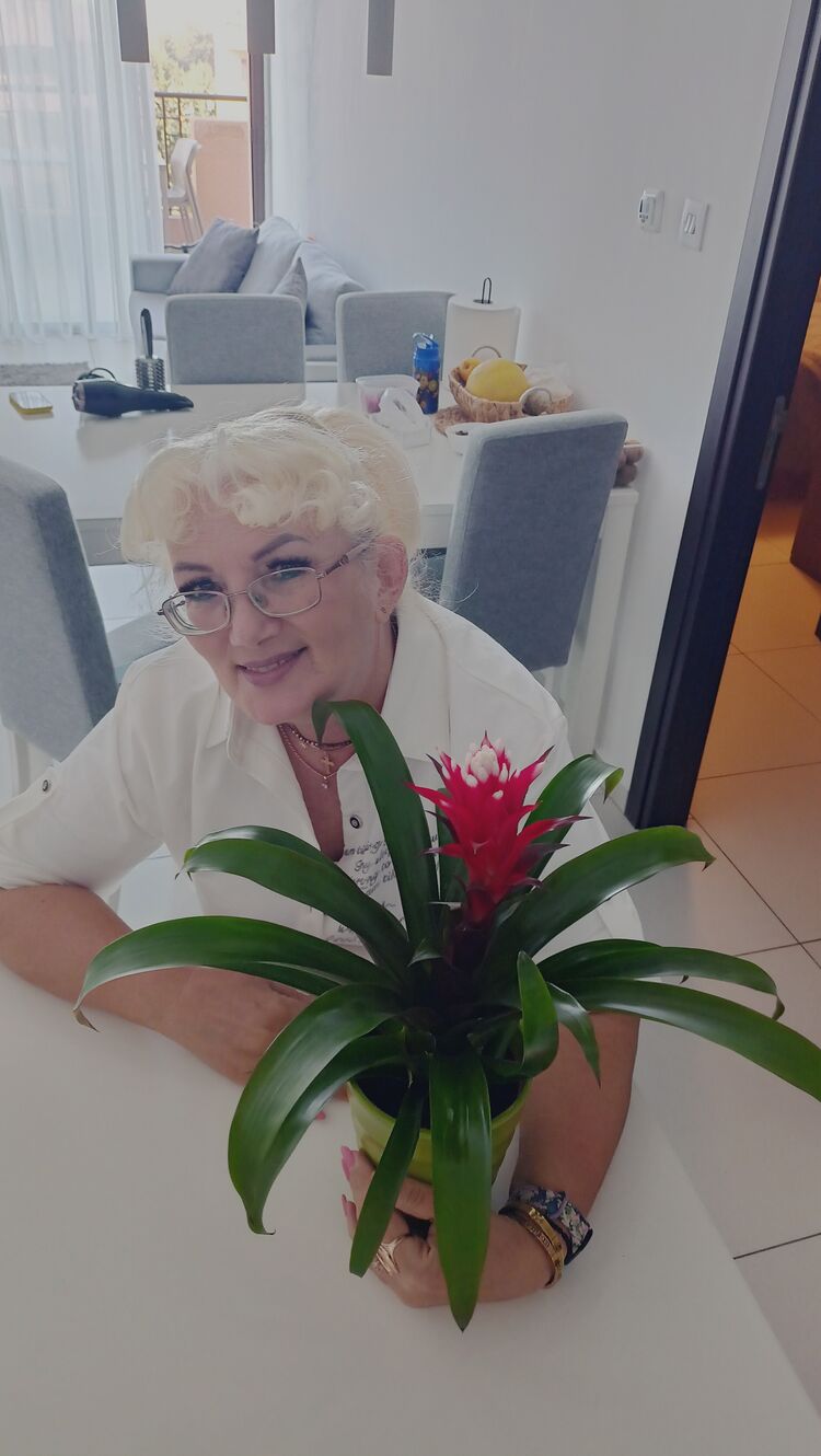 ���������� ����, ���� ������� ��������, 60 ���, ������������ ��� ������, ����� � ���������