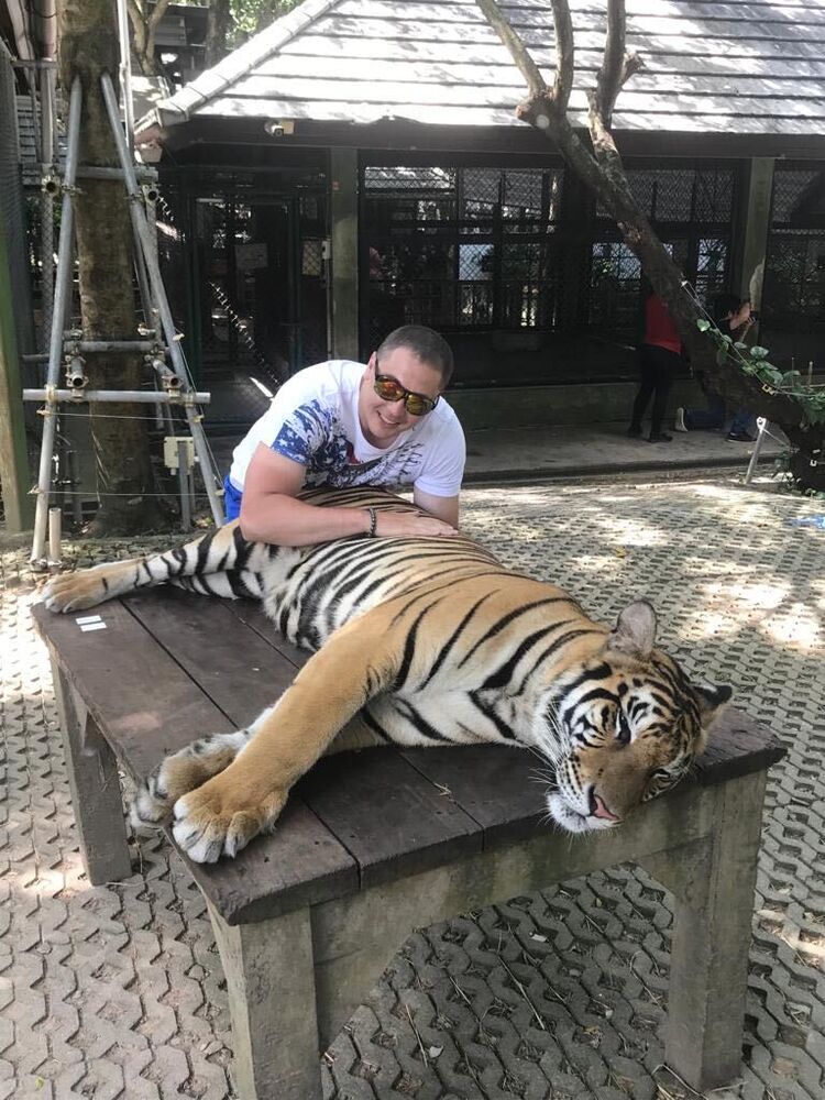 ���� 25602490 ������� ������, 36 ���, ���� ���������� � ���