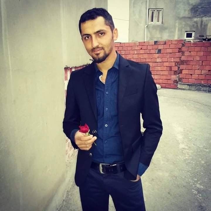 ���� 17275140 ������� Kuzey, 33 ����, ���� ���������� � �����-����������