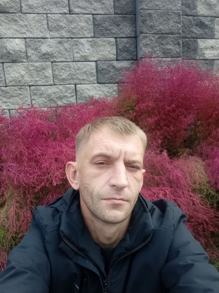  38967340  , 39 ,    