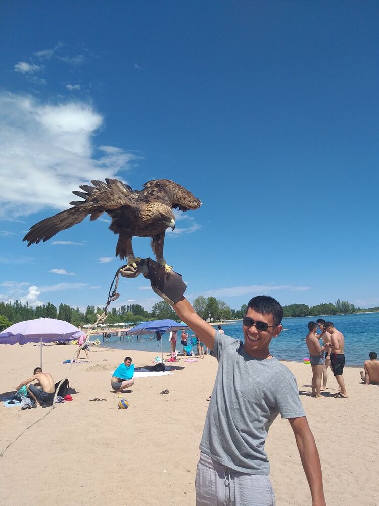 ���������� ������, ���� ������� ������, 37 ���, ������������ 