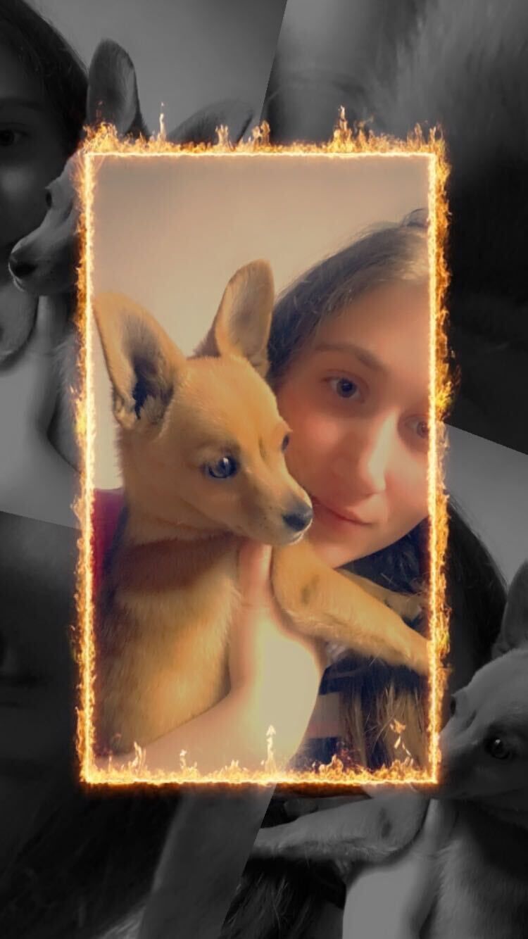  ,   , 24 ,   