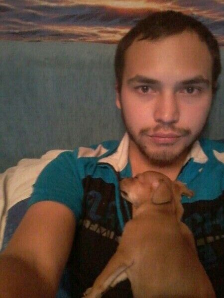 ���� 19653490 ������� �������, 33 ����, ���� ���������� � ��������