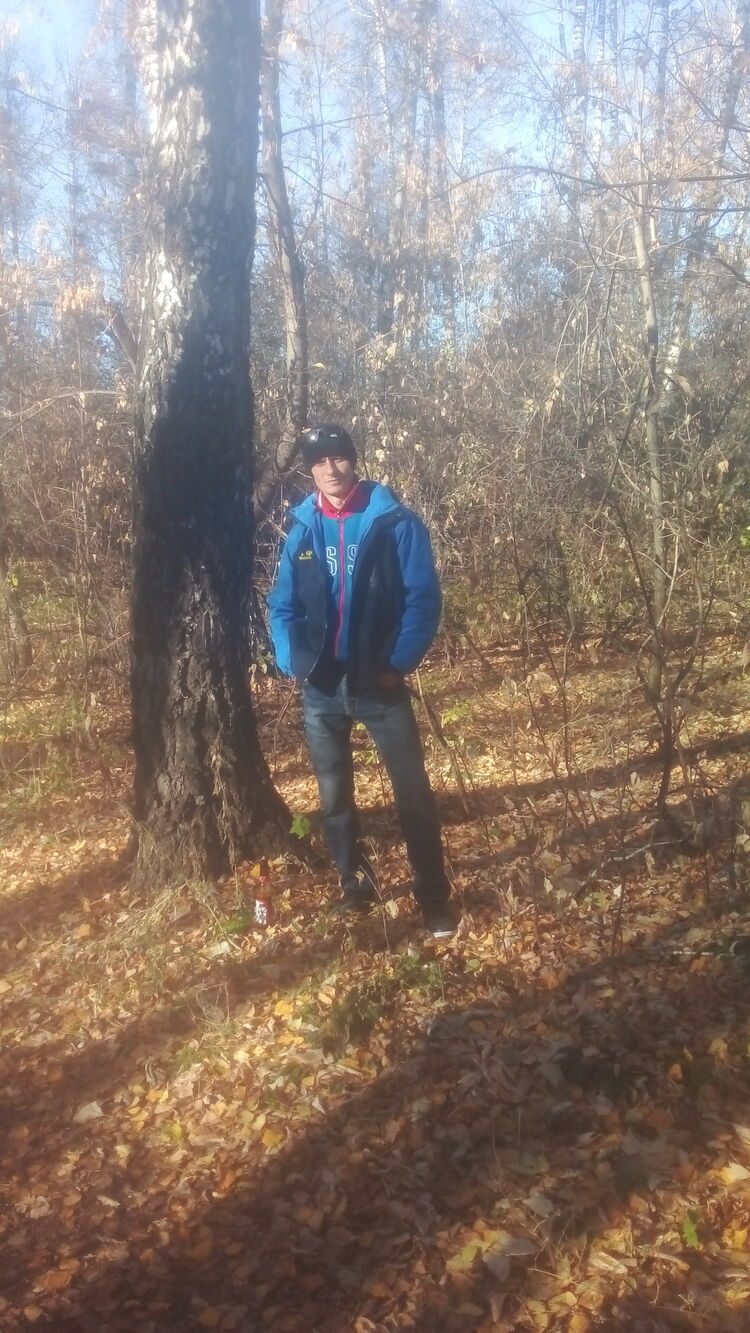  43253990  , 38 ,    