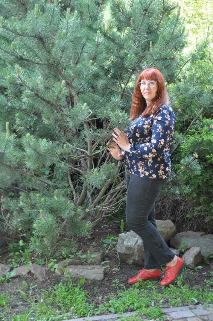  34637220  , 45 ,    --