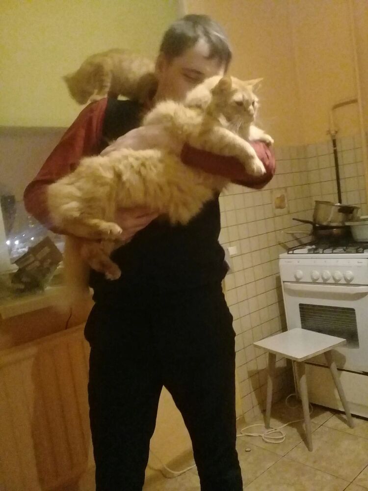 ���������� �����-���������, ���� ������� ������, 36 ���, ������������ ��� ������, ����� � ���������