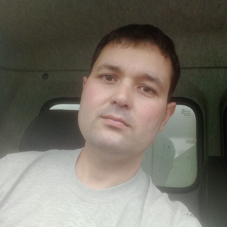  35953310  Vog, 36 ,    