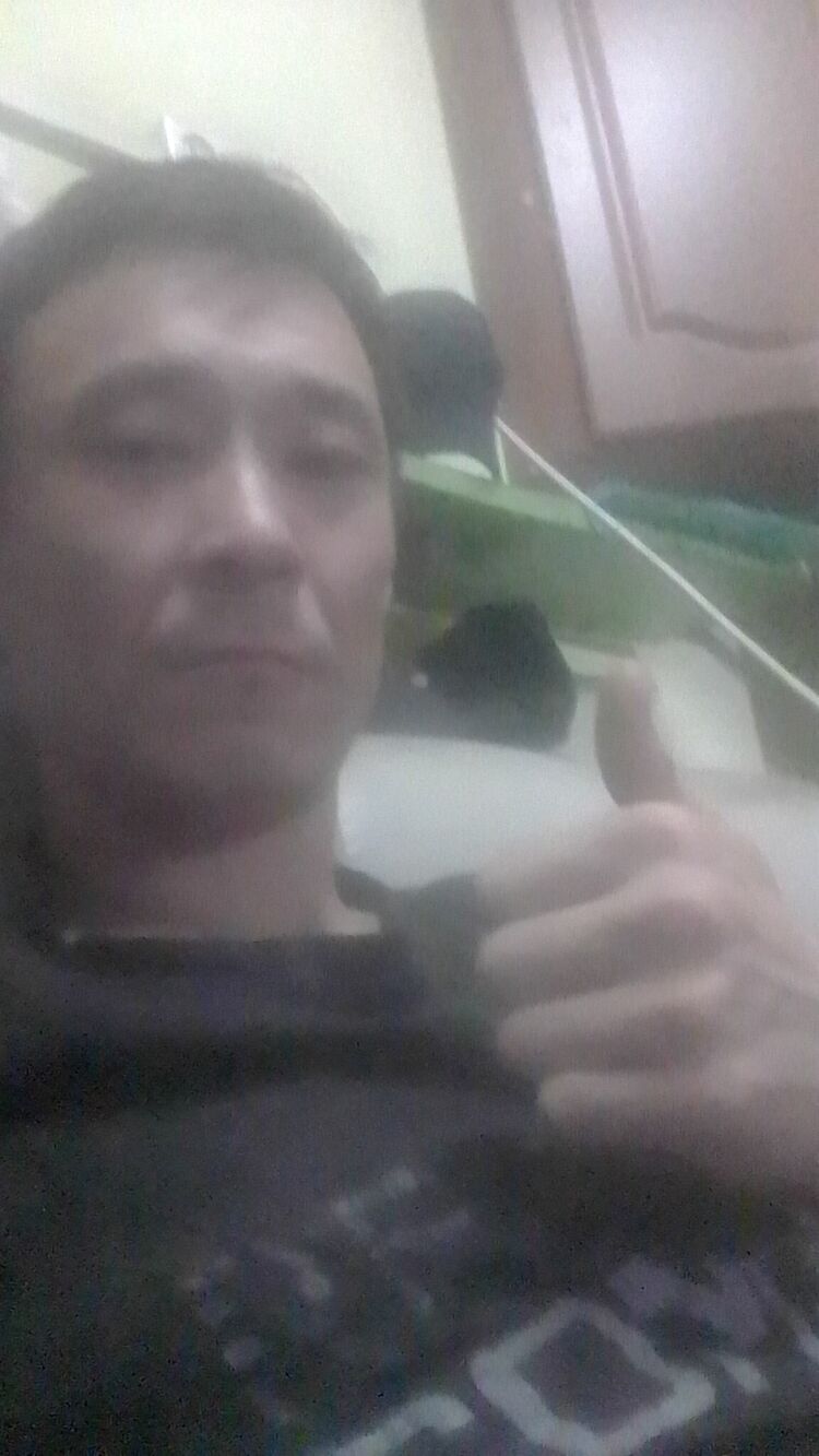  31790450  , 37 ,    