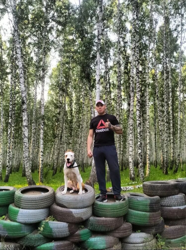 ���������� ���������, ���� ������� �������, 38 ���, ������������ ��� ������, ����� � ���������, c�������� ���������