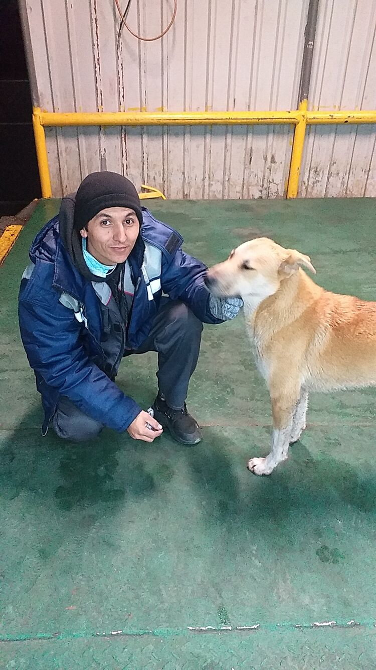 ���� 33606420 ������� Shoxrux, 38 ���, ���� ���������� � ������