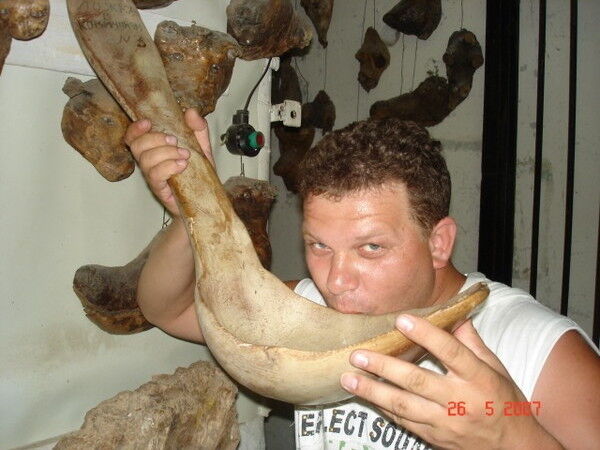 ���������� ������, ���� ������� �������, 55 ���, ������������ ��� ������, ����� � ���������, c�������� ���������