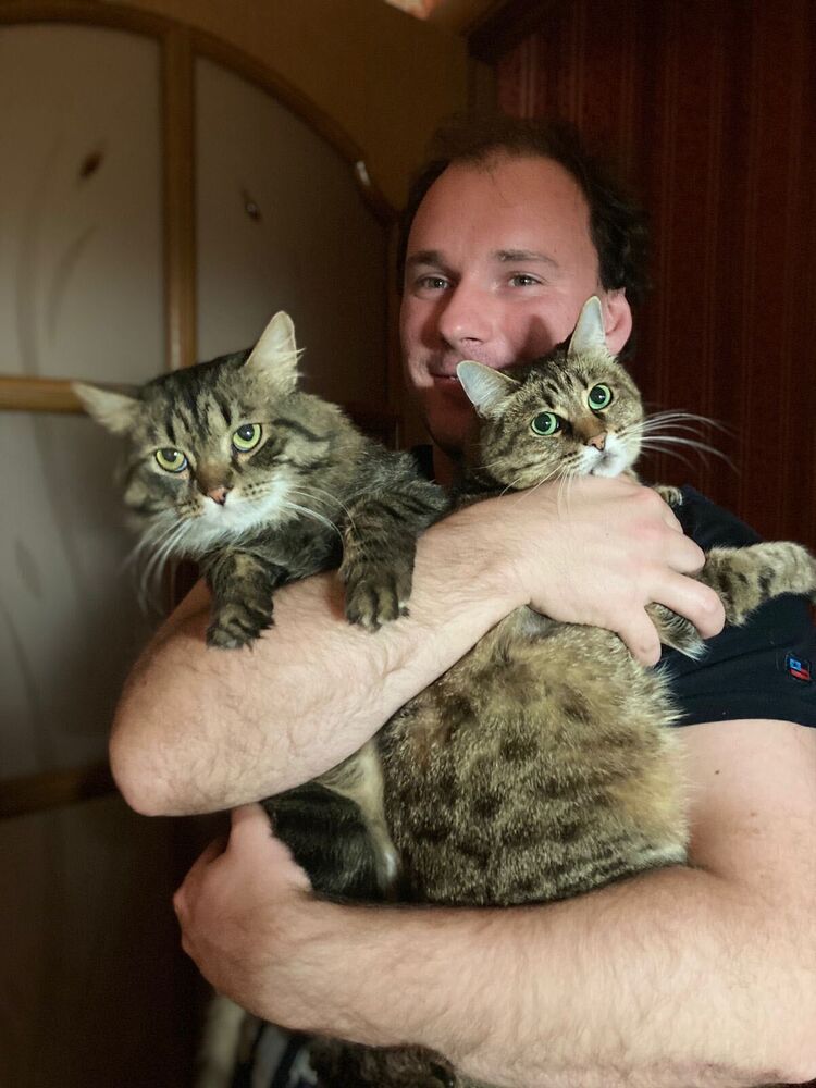 ���������� �������, ���� ������� �����, 35 ���, ������������ 