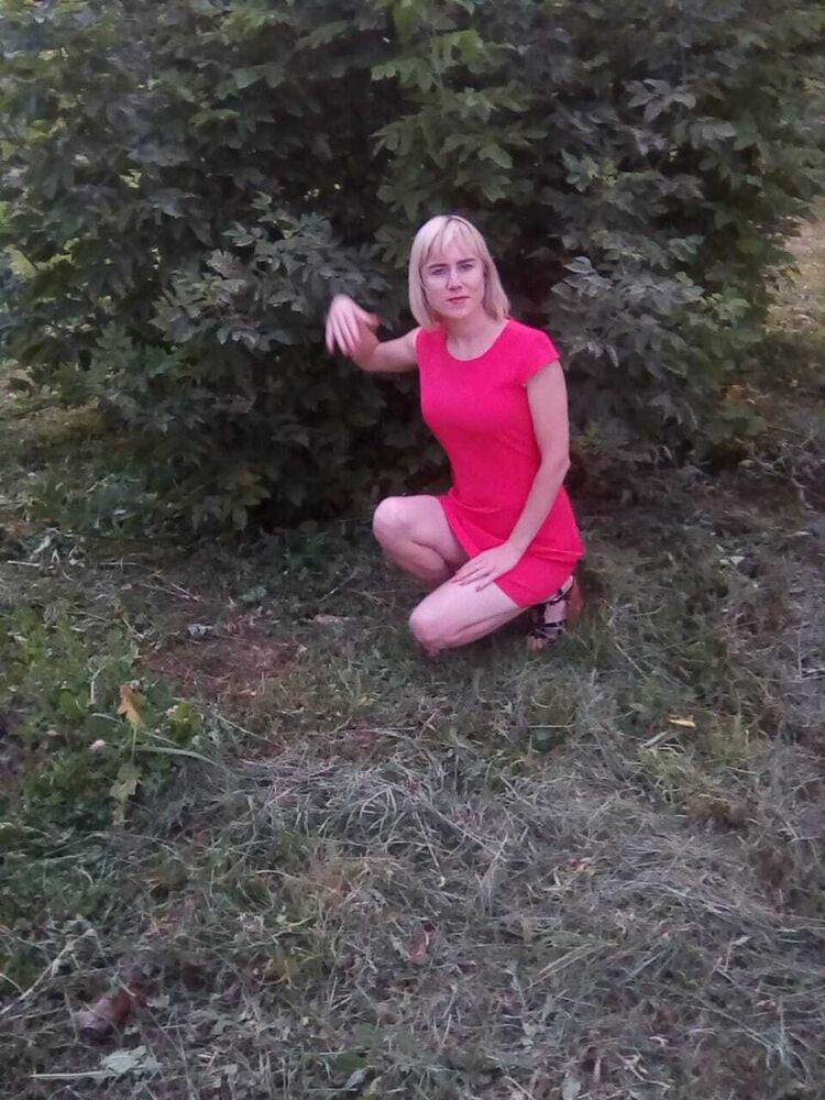  44279020  , 32 ,    