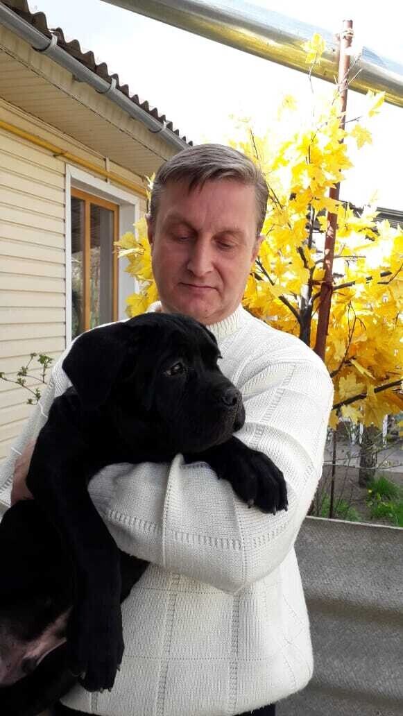 ���� 19991410 ������� �������, 49 ���, ���� ���������� � �������-��-����