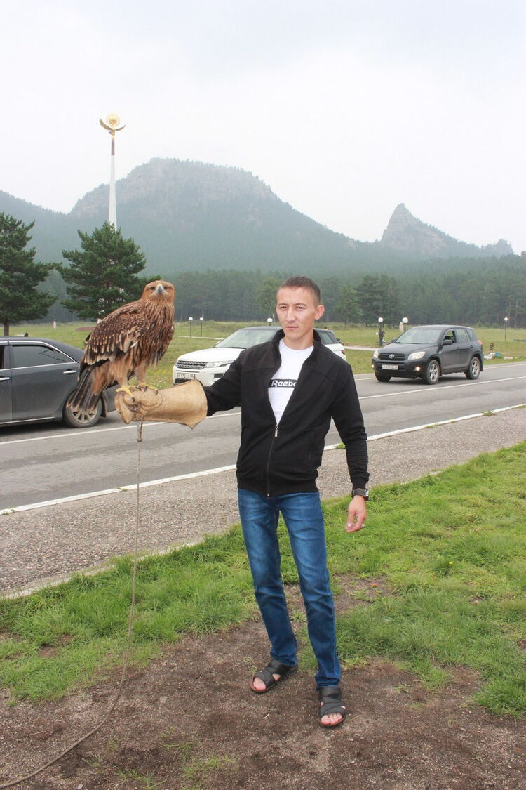 ���������� ������, ���� ������� �����, 39 ���, ������������ ��� ������, ����� � ���������, c�������� ���������