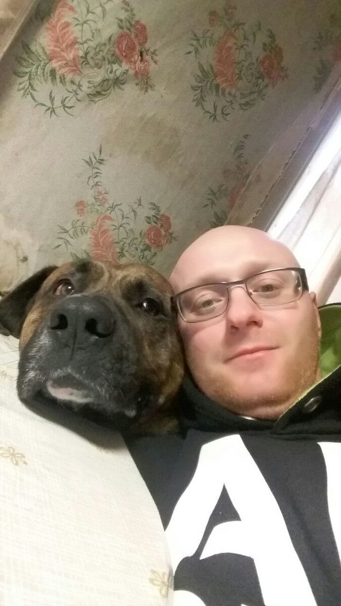 ���������� �����, ���� ������� �����, 43 ����, ������������ 