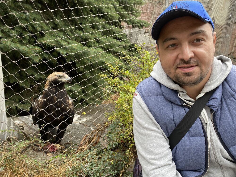 ���� 31519850 ������� �����, 43 ����, ���� ���������� � ������