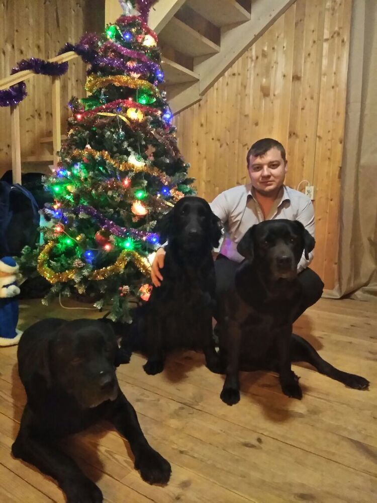 ���������� �������, ���� ������� ������, 34 ����, ������������ ��� ������, ����� � ���������, c�������� ���������