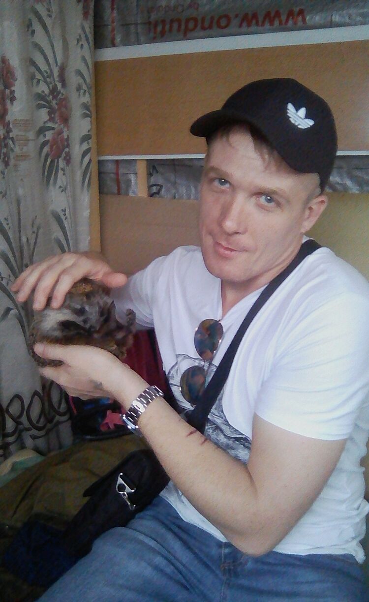 ���� 25883370 ������� �����, 36 ���, ���� ���������� � �������������