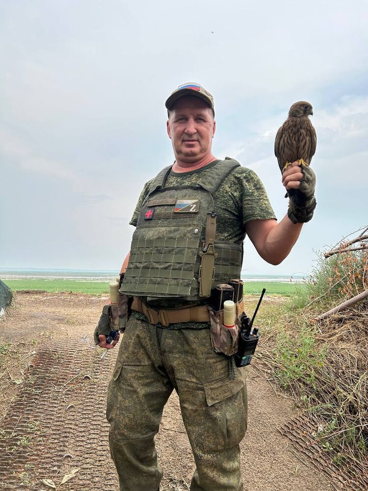 ���� 38450660 ������� ˸��, 48 ���, ���� ���������� � �����������