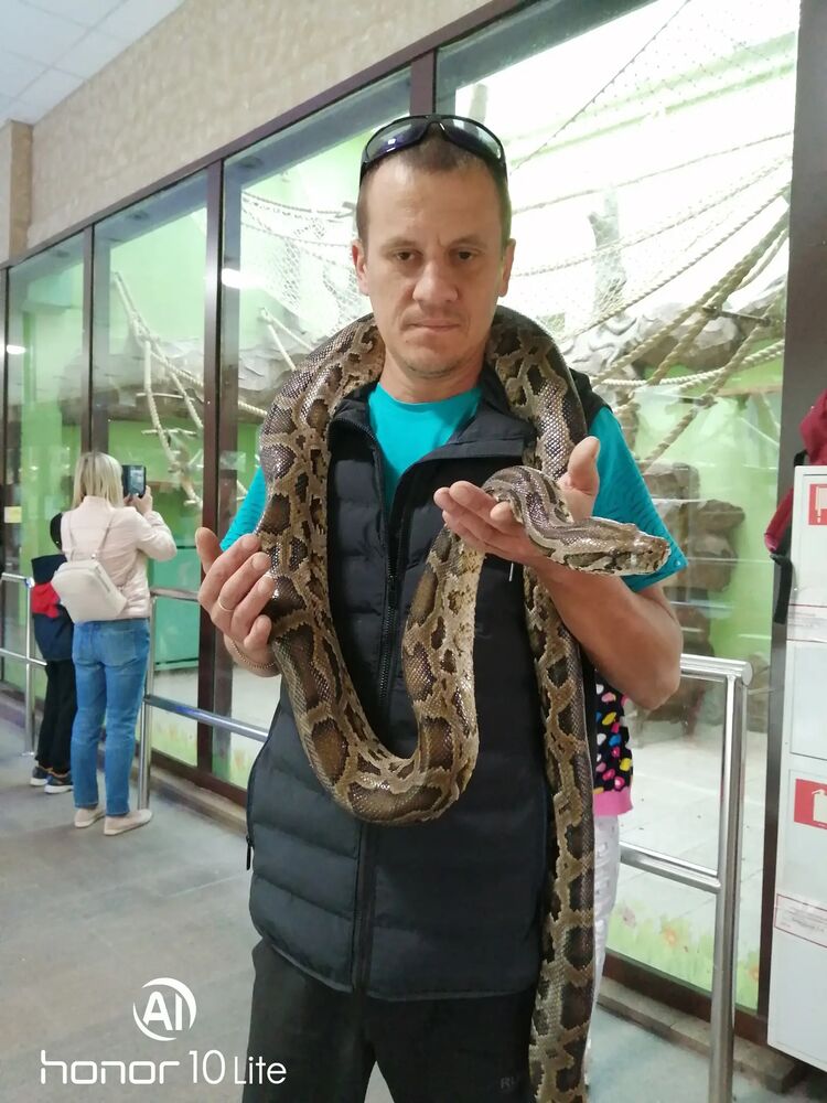 ���� 37854670 ������� �����, 38 ���, ���� ���������� � �������