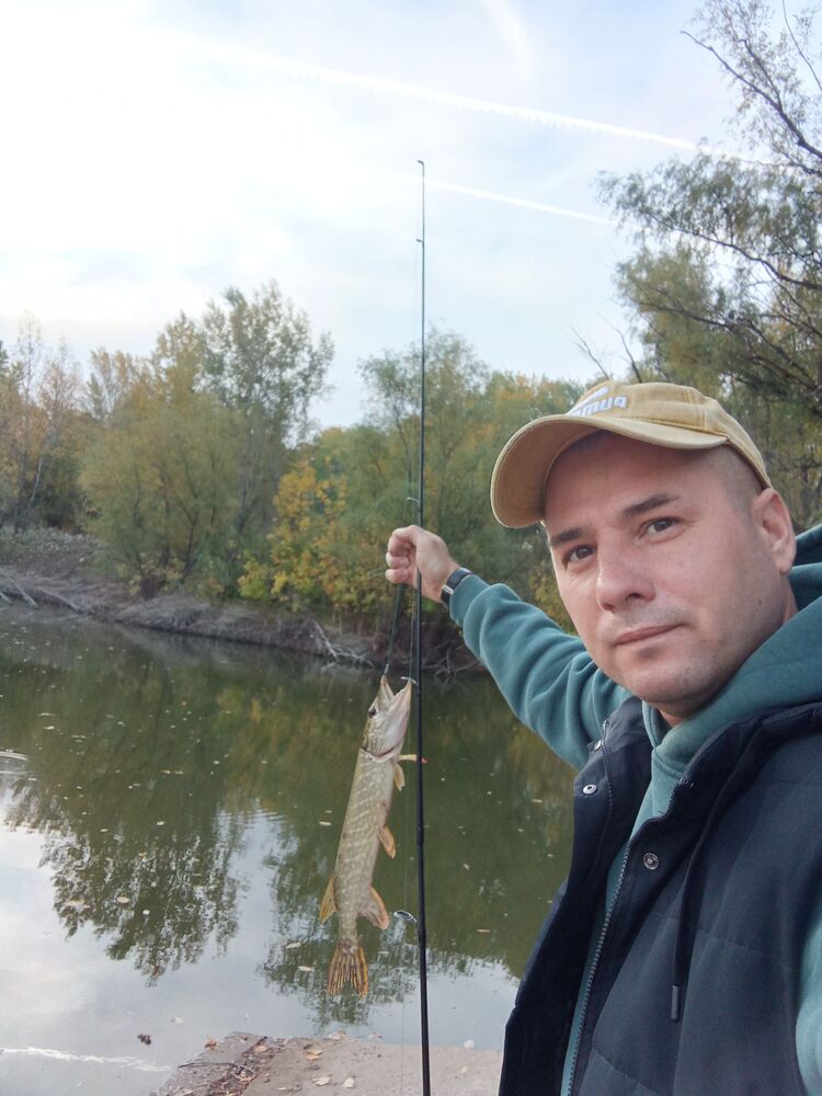 ���������� ��������, ���� ������� ������, 38 ���, ������������ ��� ������, ����� � ���������