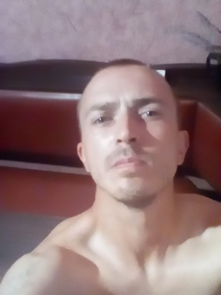  17204050  , 37 ,    