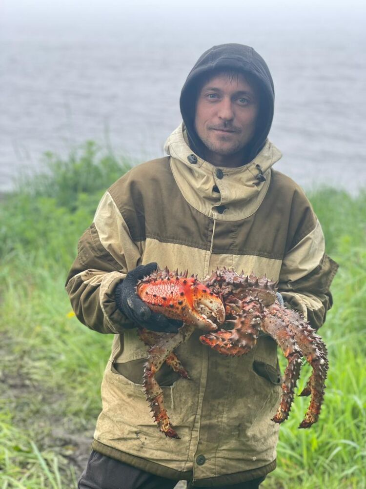 ���� 35766480 ������� ����, 36 ���, ���� ���������� � ����������