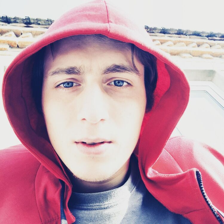  17333960  Luka, 27 ,    