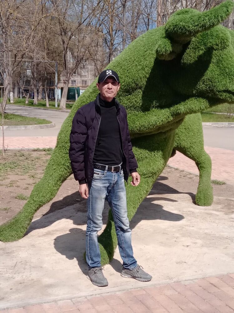  28536150  , 38 ,    