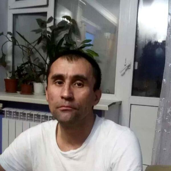  46020560  , 50 ,    