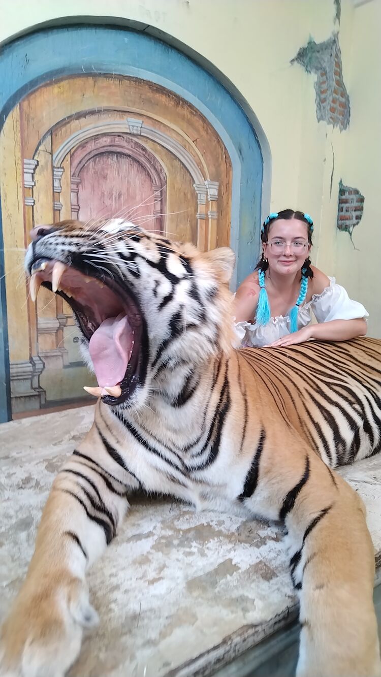 ���������� �����������, ���� ������� ����, 27 ���, ������������ ��� ����� � ���������, c�������� ���������