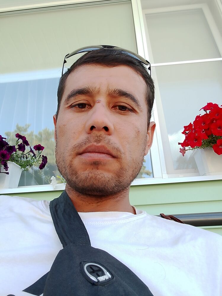 ���� 46012830 ������� ���� ������, 34 ����, ���� ���������� � ��������