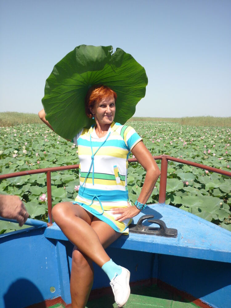 ���� 6222480 ������� ����, 66 ���, ���� ���������� � ����������