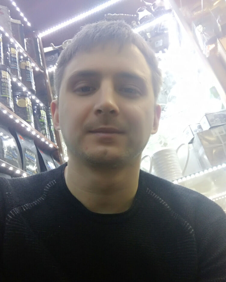  22334390  , 38 ,    