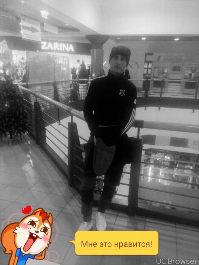  7333640  , 36 ,    -
