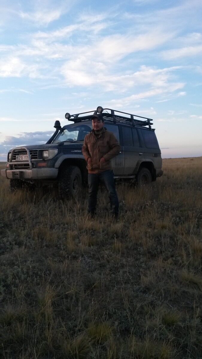 ���� 10365380 ������� �����, 40 ���, ���� ���������� � ���������