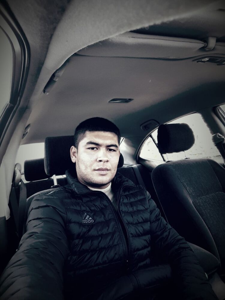  29452050  , 28 ,    -