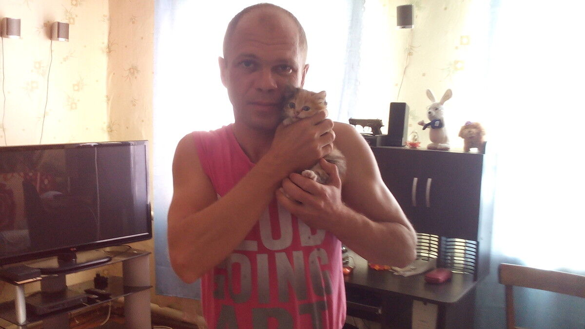 ���� 6488360 ������� �������, 45 ���, ���� ���������� � ����������