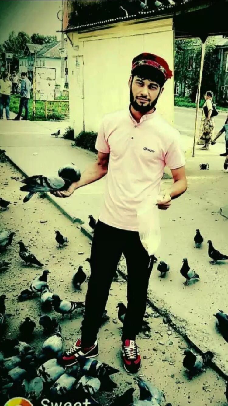 ���� 42014740 ������� ������, 33 ����, ���� ���������� � ����������