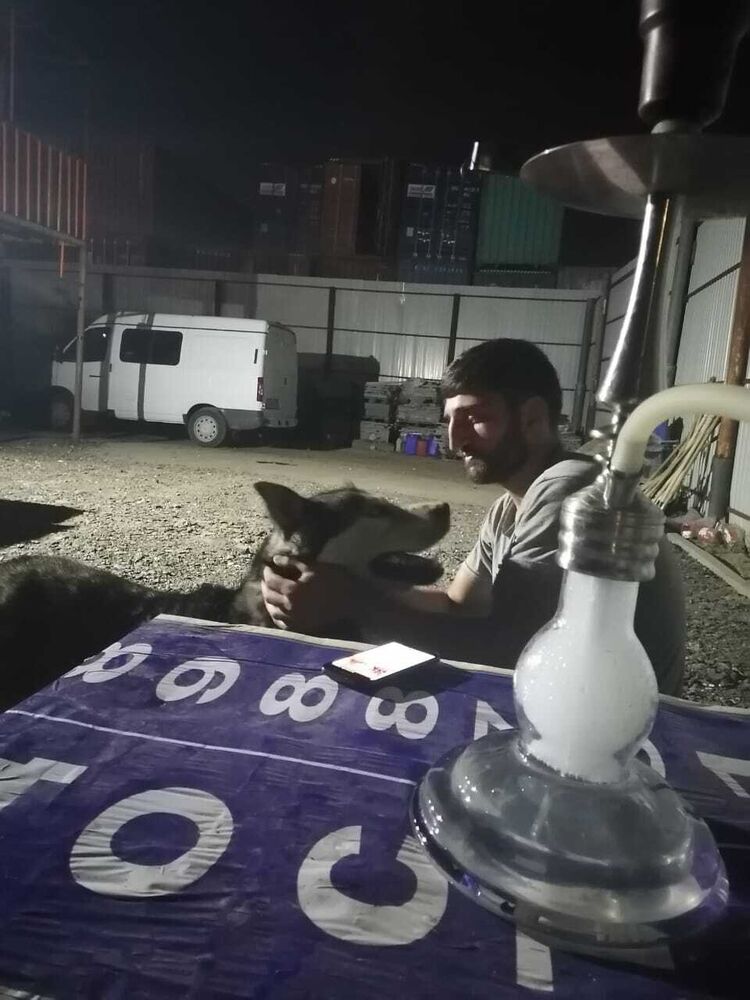 ���������� ������, ���� ������� ������, 27 ���, ������������ ��� ������, ����� � ���������