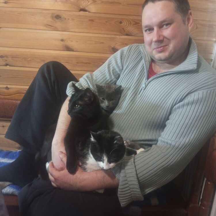 ���� 55913010 ������� �����, 37 ���, ���� ���������� � ���������