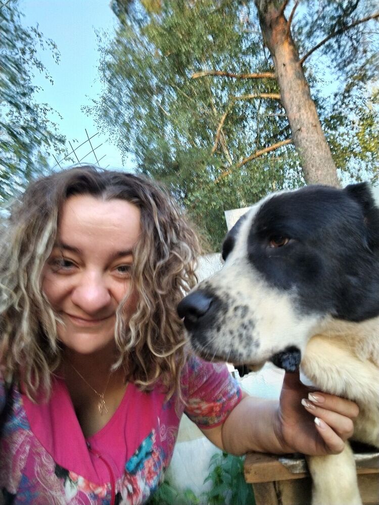 ���������� �����-���������, ���� ������� ��������, 41 ���, ������������ ��� ������, ����� � ���������