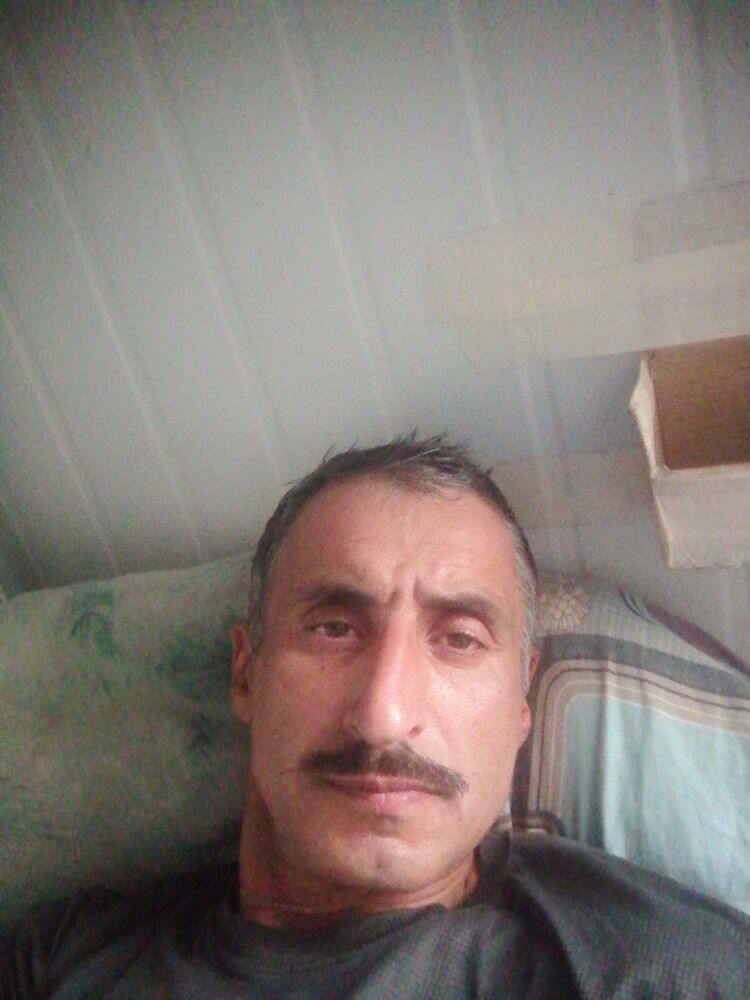  44810270  , 43 ,    
