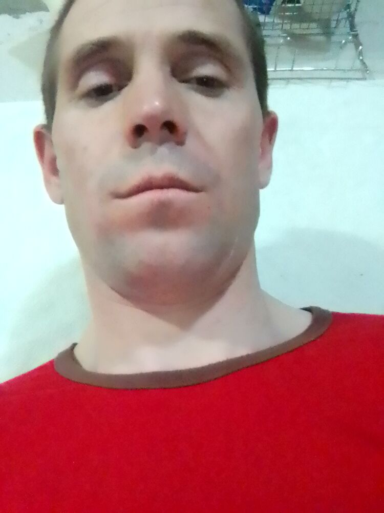  42491500  , 33 ,    