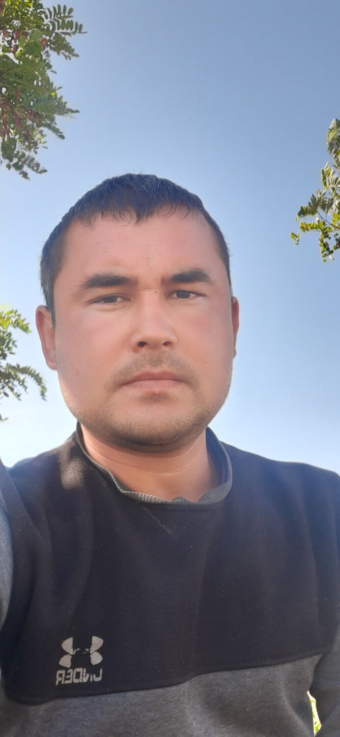  38324840  , 32 ,    