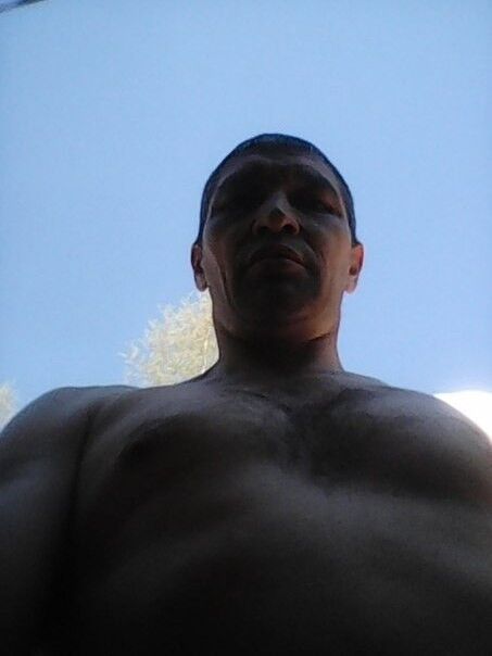  10220040  , 46 ,    